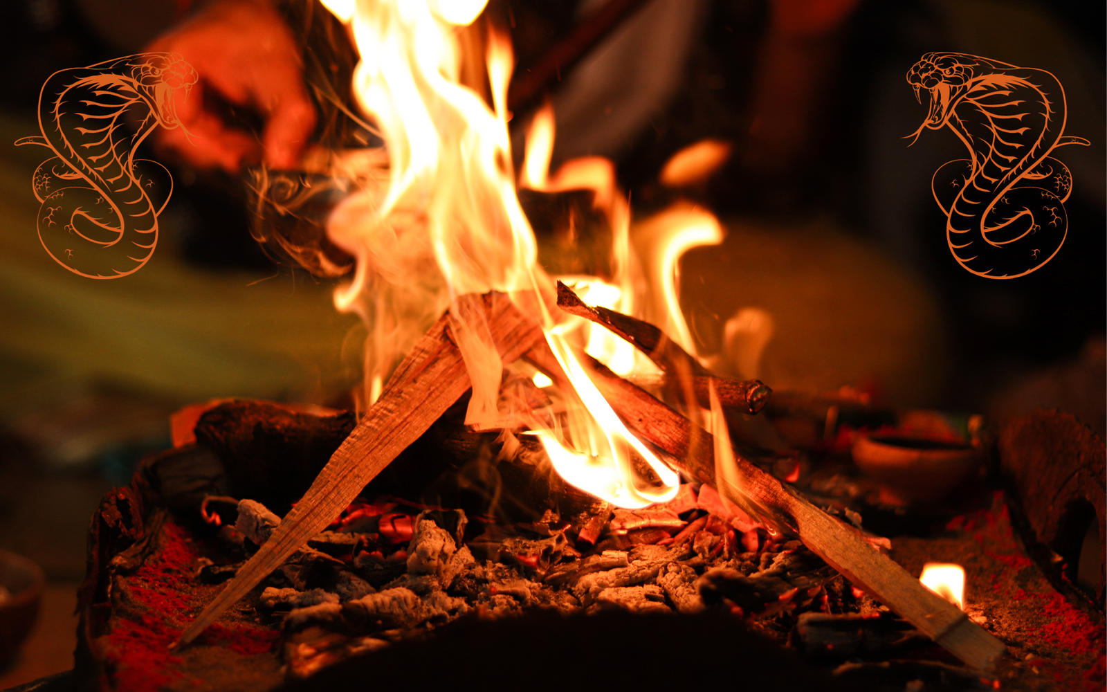 Kaal Sarp Dosh Puja